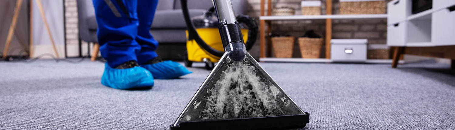 carpet extractor cleaning carpet