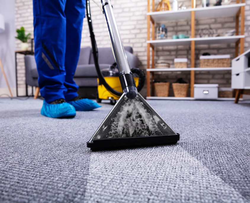 carpet extractor cleaning carpet