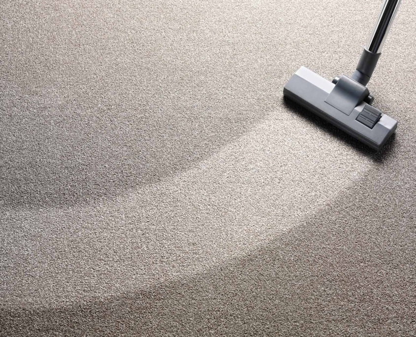 Carpet Cleaner Overhead View